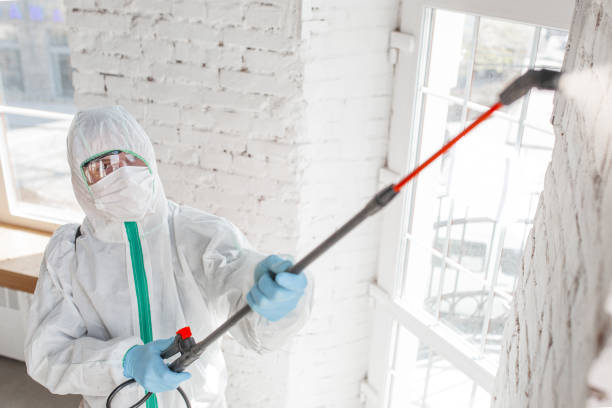 Best Indoor Air Quality Assessment  in Emmon, AK