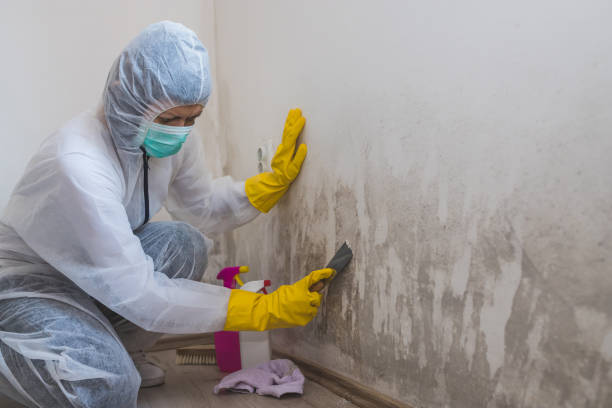 Best HVAC Mold Inspection and Cleaning  in Emmon, AK