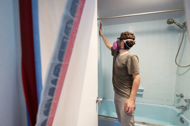 Best Environmental Consulting for Mold Prevention  in Emmon, AK