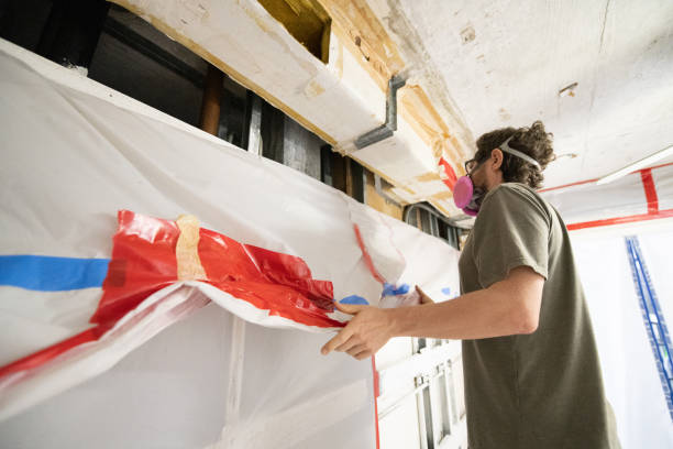  Emmon, AK Mold Removal Pros