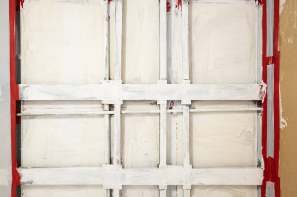 Best Emergency Mold Remediation  in Emmon, AK