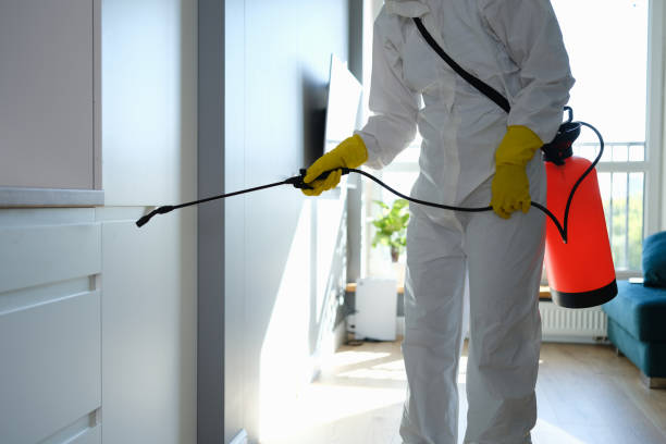 Best Mold Odor Removal Services  in Emmon, AK
