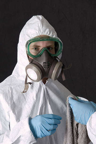 Best Industrial Mold Remediation  in Emmon, AK